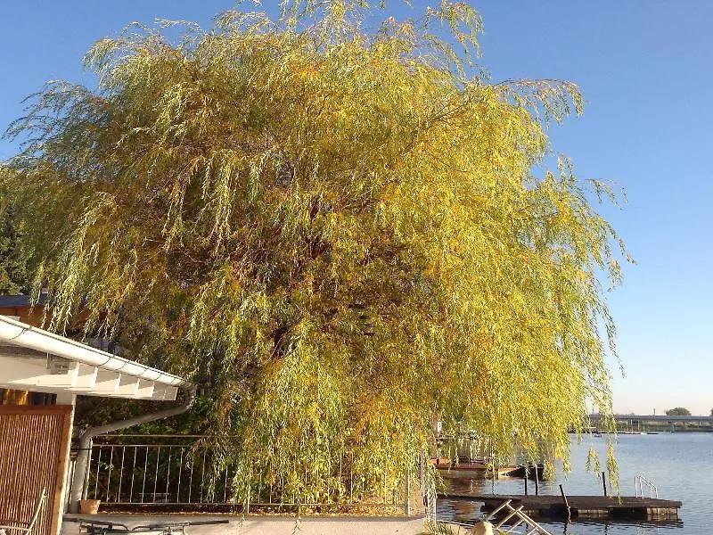 Ajo Apartments - Alte Donau Garden Flat - Self-Check-In Bécs