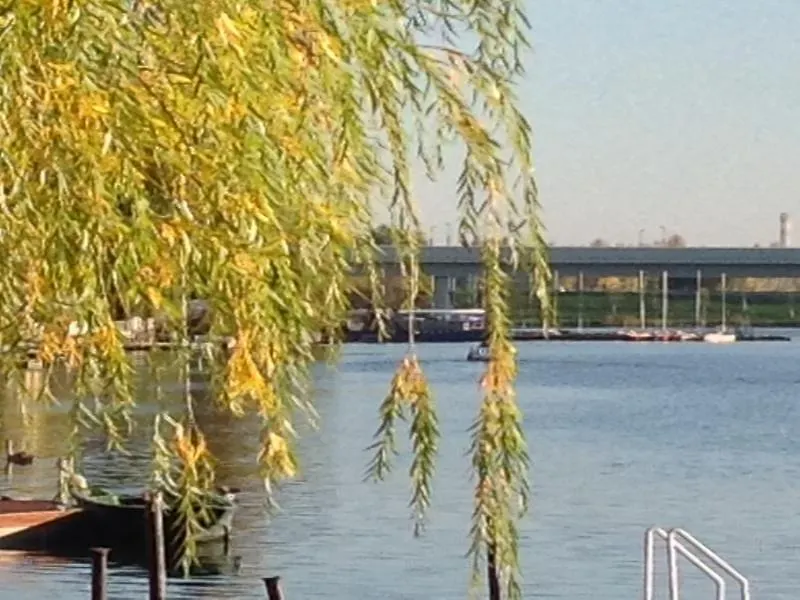 Ajo Apartments - Alte Donau Garden Flat - Self-Check-In Vienna